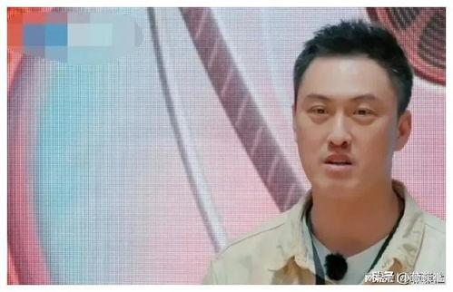 娱乐圈吃瓜爆料金,揭秘明星背后的秘密与真相